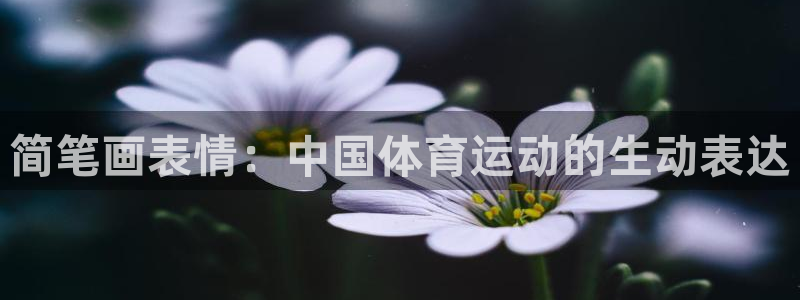 简笔画表情：中国体育运动的生动表达