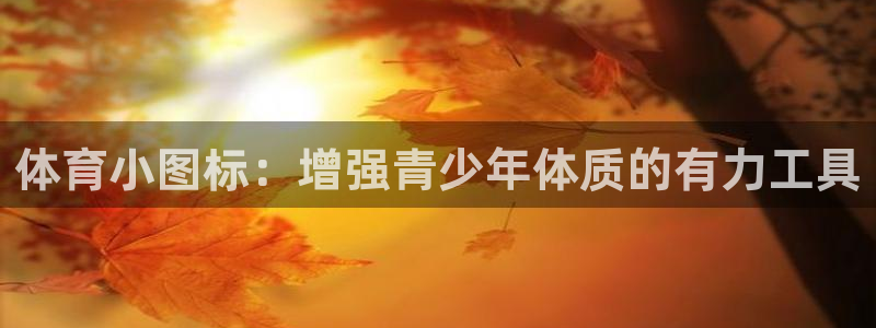 体育小图标：增强青少年体质的有力工具