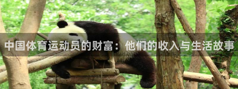 中国体育运动员的财富：他们的收入与生活故事